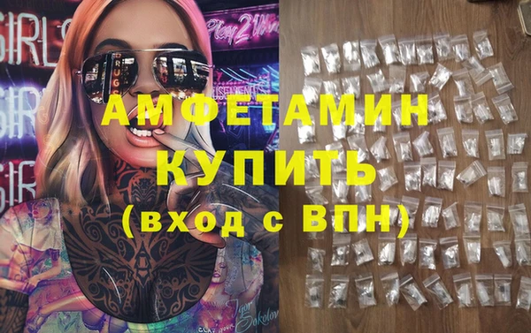 прущие грибы Надым