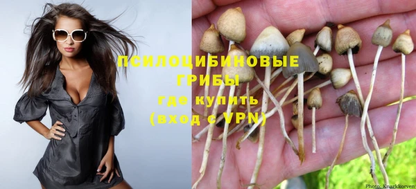 мескалин Лихославль